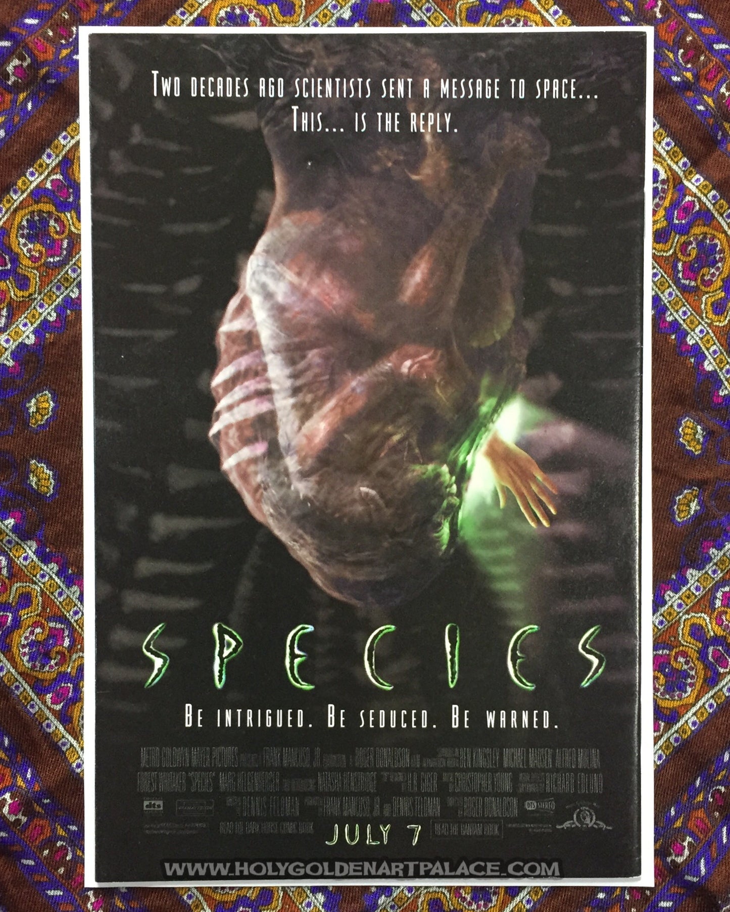 ALIENS vs PREDATOR: WAR #2 <COMIC20F>