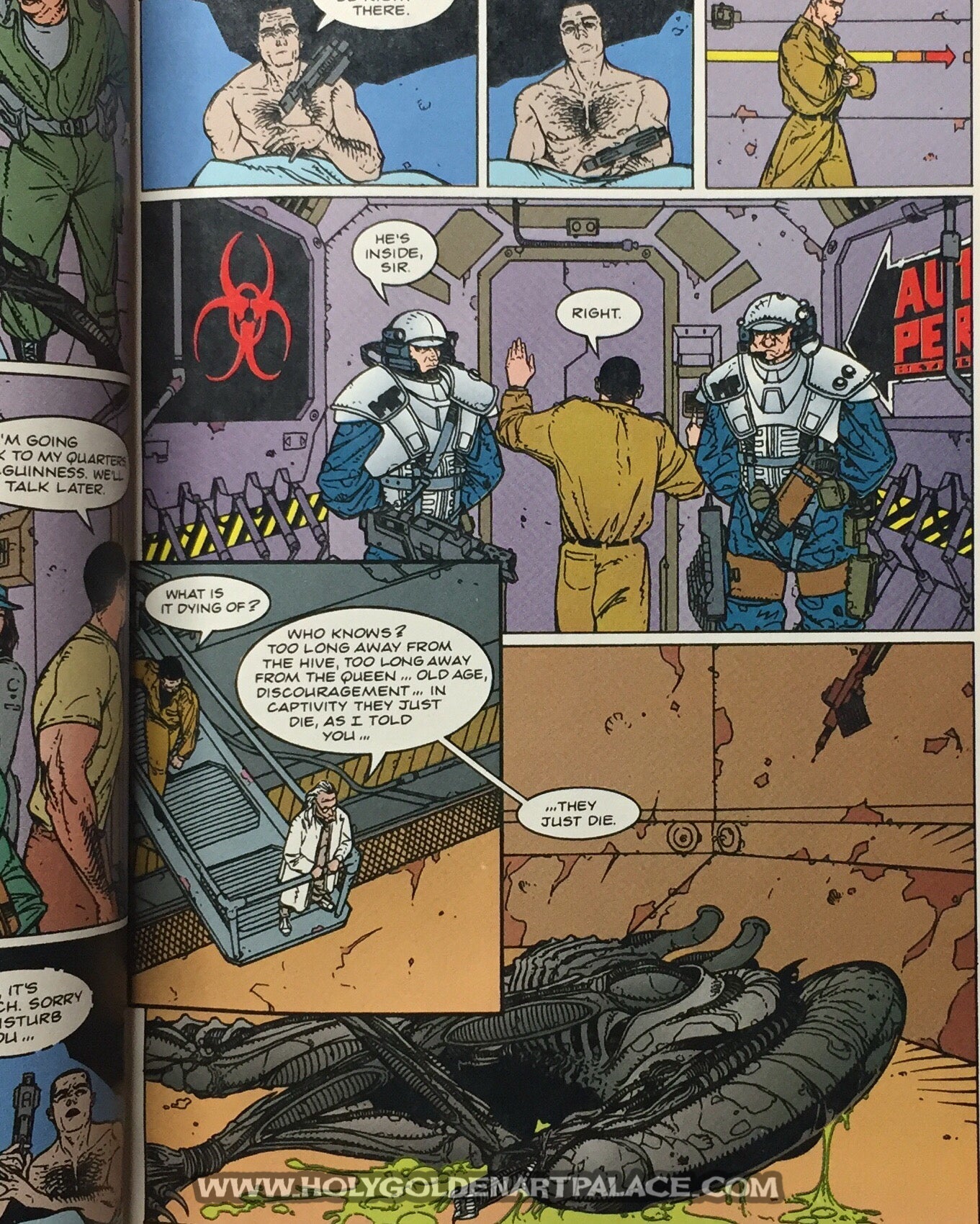 ALIENS: LABYRINTH #2 <COMIC20F>