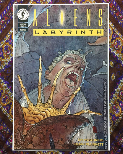 ALIENS: LABYRINTH #3 <COMIC20F>