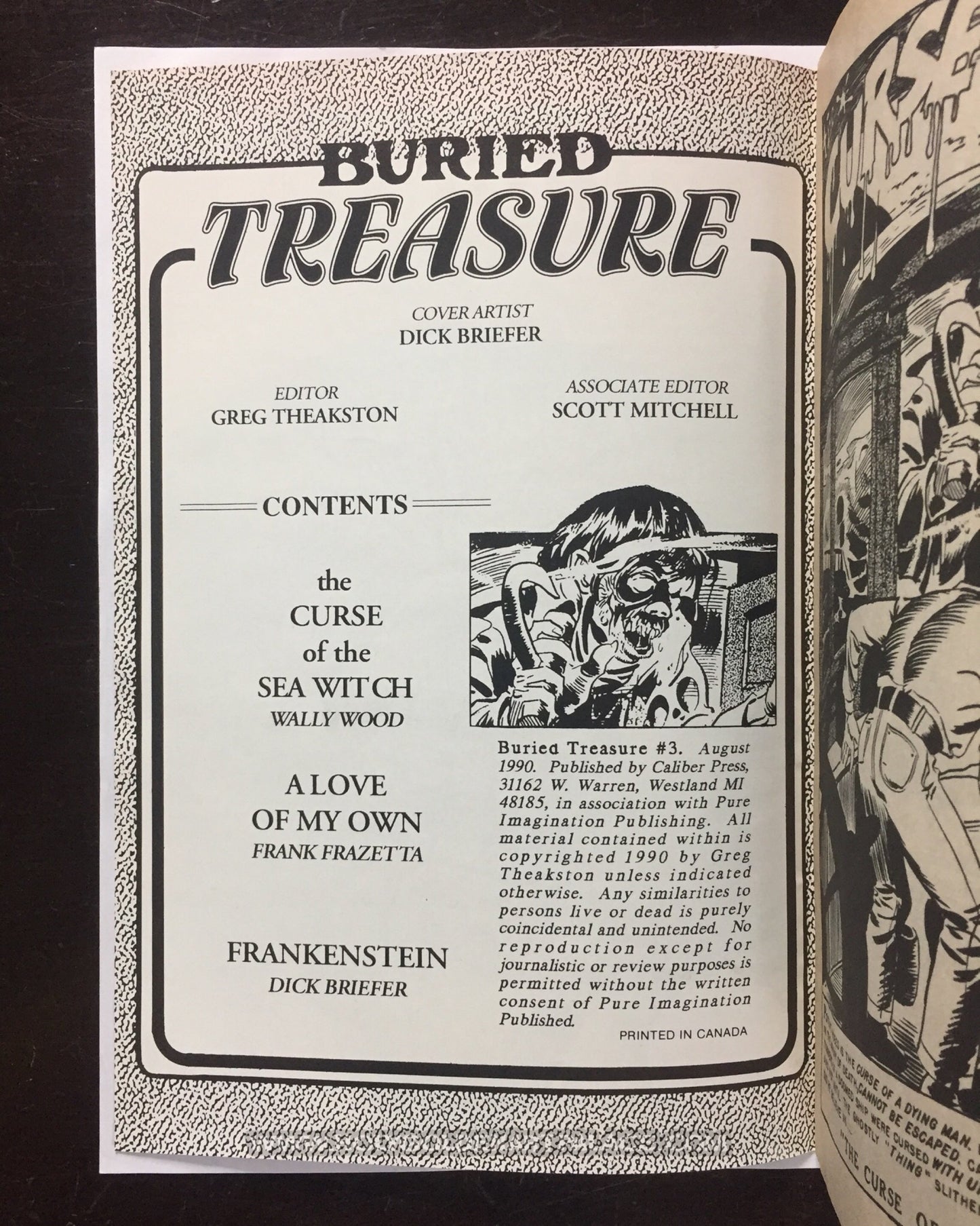 BURIED TREASURE #3 <COMIC20F>