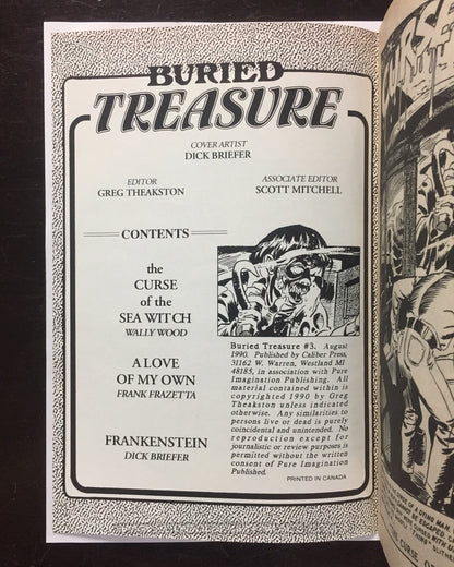 BURIED TREASURE #3 <COMIC20F>
