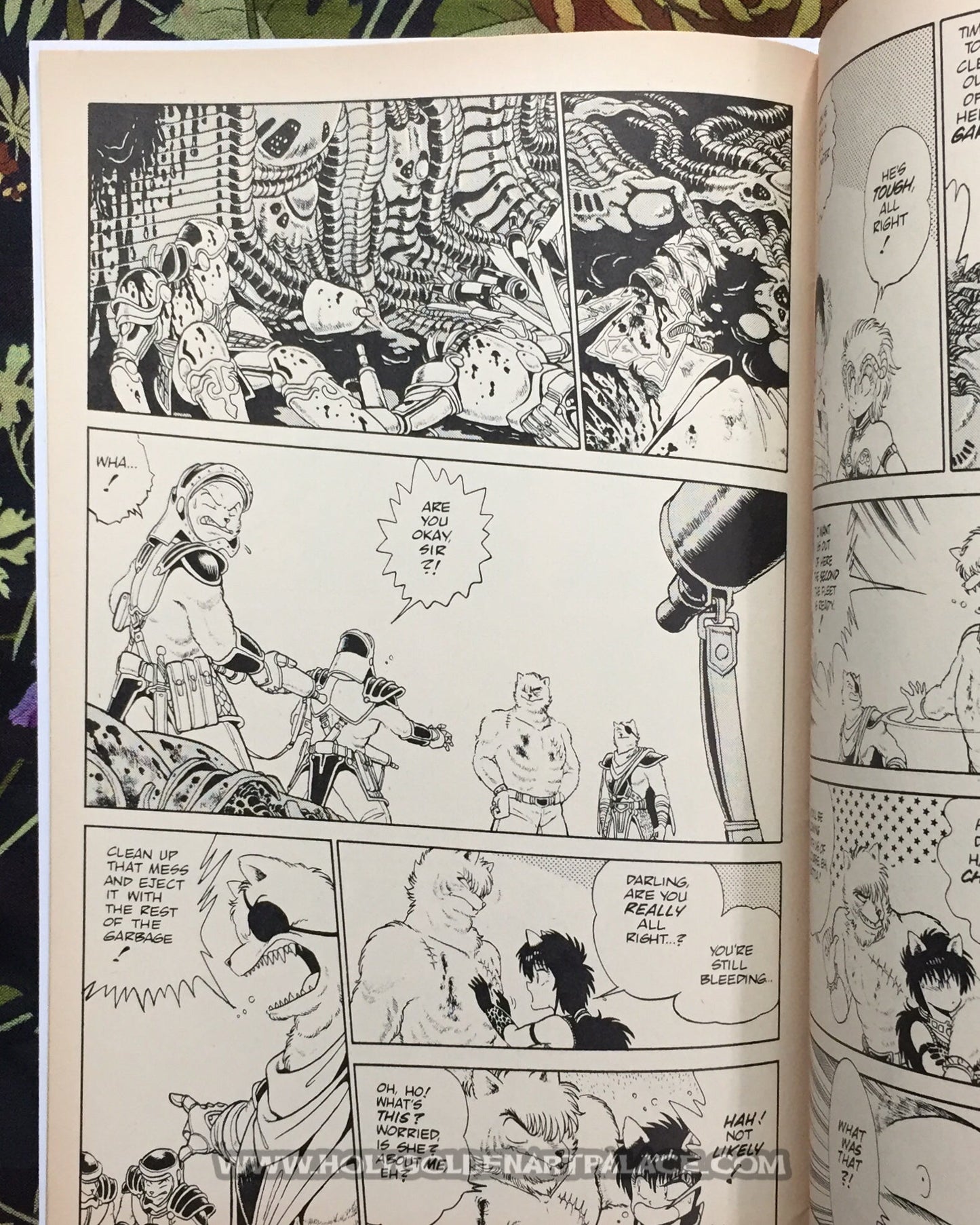 Outlanders #15 <COMIC20F>