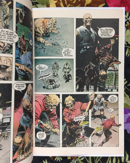 WINTERWORLD #1 of 3 <COMIC20F>