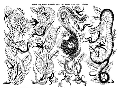 SNAKES 1